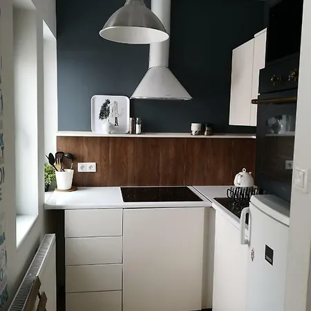 Ferienwohnung Przytulna Kawalerka W Kamienicy Allenstein Exterior foto